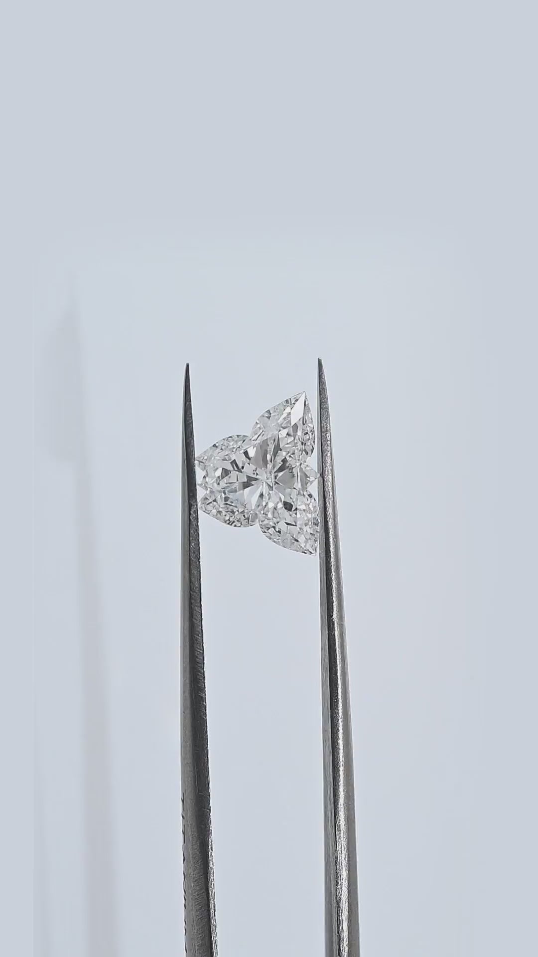 3.75 Carat Butterfly Diamond Pair – D/F Color, SI1/SI2 Clarity